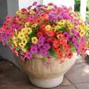Rowfad 18 Pcs Artificial Daisy Flowers for Outdoors UV Resistant Fake Plastic Colorful Spring Flowers Faux Silk Plants for Outside Porch Easter Patio Home Decor (18, Red, Purple, Yellow, Rose Red)