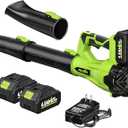 FULLYEA Cordless Leaf Blower 650CFM/180MPH, 21V Electric Leaf Blower with 3 Tubes & 2 x 4.0Ah Batteries, 6 Speed Modes, Battery Powered Leaf Blowers for Cleaning Patio, Yard, Garage, Lawn (Green)