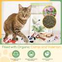 Nobleza Catnip Toys, 5Pcs Cat Chew Toys for Indoor Cats Clearance, Cute Animal Shapes Plush Kitty Teething Toys with Crinkle Paper for Pet Birthday, Interactive Kitten Kicker Toy with Organic Cat Nip (Colorful)