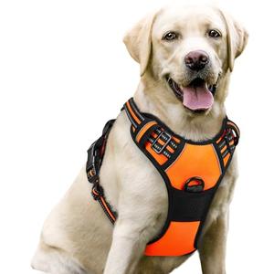 rabbitgoo Dog Harness No Pull with 2 Leash Clips, Adjustable Soft Padded, Reflective Oxford No Choke Pet Vest with Easy Control Handle for Large Dogs, Orange, Large