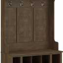 Bush Furniture Woodland 40W Hall Tree and Shoe Storage Bench with Shelves in Ash Brown, Cubbies and Coat Hooks for Foyer, Mudroom, or Entryway