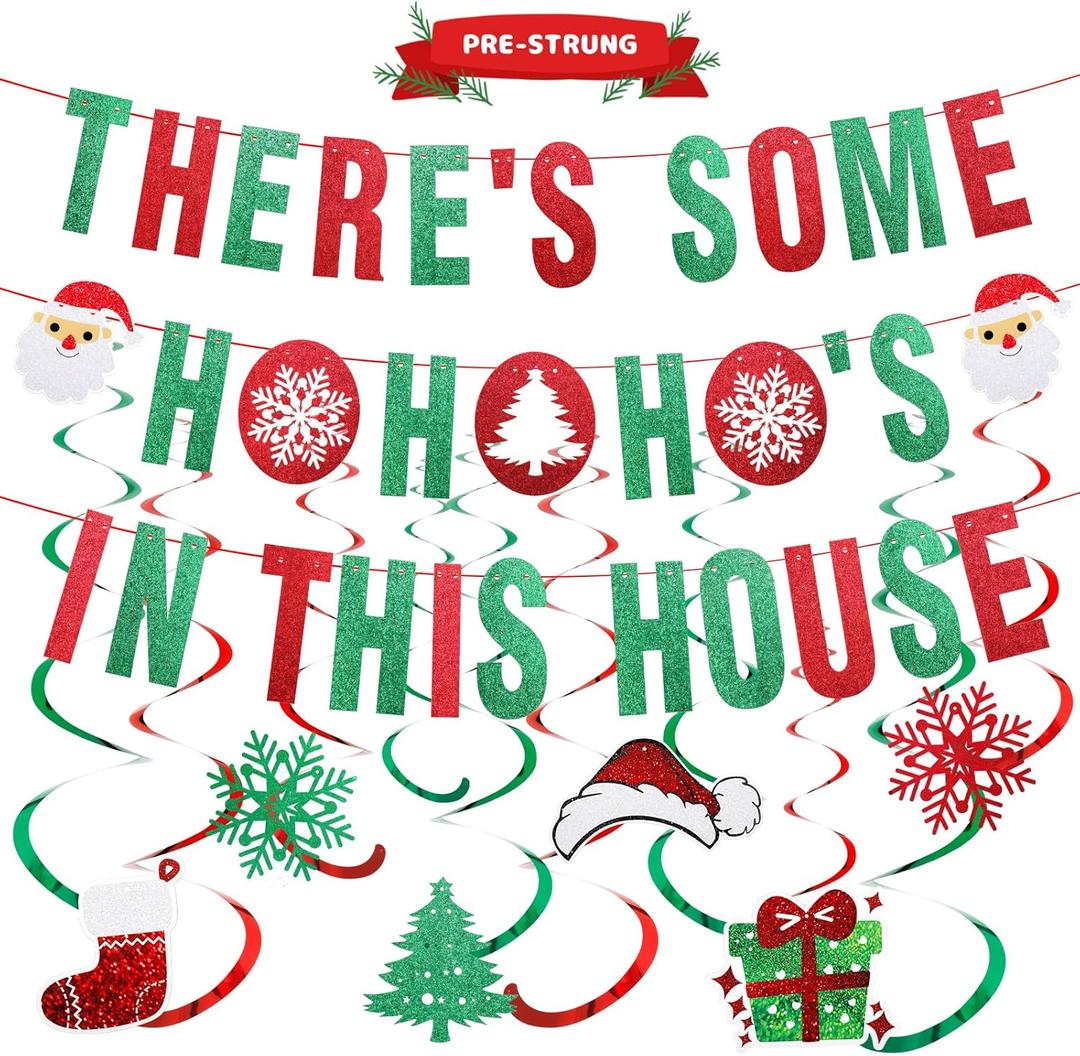 Funny Christmas Decorations There's Some In This House Banner & Christmas Hanging Swirls for Office Home Xmas Party Supplies