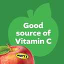 Mott's No Sugar Added Applesauce Variety Pack, Cinnamon and Apple, Made from Real Fruit, No Artificial Flavors, 3.2 Oz Clear Pouches, 20 Pack