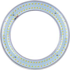 T9 LED Circline Light Bulb, 8 Inch 1700LM LED Circular Light, 12W Clear Cover 6500K Daylight Replacement for FC8T9/CW 22-Watt Fluorescent Circular Bulb (6500K, 8")