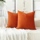 Stellhome Pack of 2, Fall Decorative Soft Velvet Throw Pillow Covers Square Soft Cushion Covers, Home Decor Decorations for Sofa Couch Bed Chair, 22 x 22 Inch/55 x 55 cm, Burnt Orange