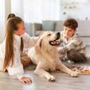 Tinideya Fall Kitchen Rugs Set of 3 Pumpkin Patch Autumn Maple Leaves Kitchen Mats Decor Thanksgiving Farmhouse Floor Door Mat Rug Home Decorations