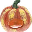 Fish Shrimp Hideout House Thanksgiving Fish Tank Aquarium Decor Pumpkin House Cave Betta Toys Thanksgiving Day Decor Terrarium Ornament Resin Rock (8X8X8CMx1pcs, Orange)