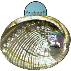 NessaStores 30 Abalone Shells 4 to 5 Inches | Beautiful All Natural Smudge Bowl - Perfect for Smudge Sticks, Incense Sticks and a Sage Smudge Kit. JC-011