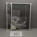 Expandable Window Screens for House Windows 20 H x 28-53 W inches - 2 Pack Large Adjustable Window Screens, Ideal Replacement Window Screens