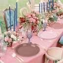 AimFun 24Pcs Dusty Pink Paper Plates Gradient Pink Party Plate 9 Inch Disposable Round Dinner Plates for Birthday Wedding Baby Bridal Shower Party Supplies Tableware Decor