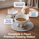 2 Pack Anti-Vomit Elevated Ceramic Cat Bowls with 2 Non-Slip Mats Ceramic Whisker-Friendly Tilted Orthopedic Feeding Set, Ideal for Senior Cats & Small Dogs