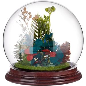 PH PandaHall 4.5x4.4 Cloche Glass Dome Display Clear Dome with Base Mini Crystal Display Case Vintage Style Centerpiece Stand Bell Jar for Watch Jewellry Miniatures Figurines Display