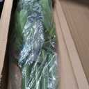 5ft Fake Bamboo Plant 10 Pack, Artificial Privacy Plants Indoor Outdoor Faux Bamboo Plant Privacy Trees with Silk Leaves for Garden Fence Courtyard Entrance (5ft / 150cm)