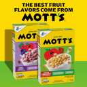 2 x Mott's Apple Cinnamon Cereal, Made with Apple Puree, Whole Grain, 14 oz