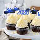 3 x Graduation Cupcake Toppers 2026,48 PCS Graduation Decoration,Class of 2026 Food Appetizer Picks,Graduation Party Supplies/Food Appetizer Picks Mini Cake Decor (Blue)