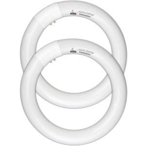 FC8T9/CW Circular Fluorescent Light Bulb, 8 Inch Round T9 22W Circline Bulbs Replacement for Circle Ceiling Fixture, Cool White 4100K 1350 Lumens, G10q 4 Pin Base, 2 Pack