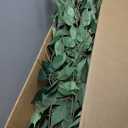 6.2ft Ficus Artificial Trees with 3 Natural Curved Trunks, 74" Tall Lush Faux Tree for Home Decor Indoor, Green Lifelike Fake Ficus Tree Artificial Plants