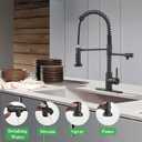 Drinking Water Faucet, Pull-Down Kitchen Sink Water Filtration Faucet, Bar Water Filter Faucet, Matte Black, Stainless Steel, PAKING PB1030
