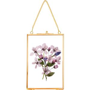 REDHUGO Hanging Pressed Flower Frames, Double Glass Floating Picture Frame Handmade, Glass Frame for Pressed Flowers, Vintage Brass Picture Frame for Artwork Wall Display Mount, Gold, 4x6 Inches (4L" x 6W")