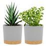 QCQHDU 5 inch Plant Pot, 2 Pack Planters for Indoor Plants with Drainage Holes & Saucer, Outdoor Flower Pots Home Garden Modern Decor