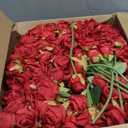 Jexine 240 Pcs Artificial Rose Flowers Bouquet Silk Realistic Flowers Bulk Centerpieces DIY Bride Fake Rose for Home Bridal Wedding Party Decorations(Red)