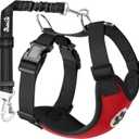SlowTon Dog Seat Belt Harness for Car, Dog Car Harness Adjustable Mesh Breathable & Dog Seatbelt Safety Tether with Elastic Bungee for Small Medium Large Pets(Red, Double Clip, M)