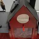 Solar Bird Feeders House for Outside Hanging, Metal Wild Bird Feeder for Outdoors Large Capacity Cardinal Birdfeeder Birdhouses Metal Bird Feeding Station Red