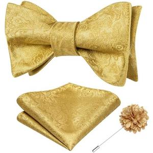 Dubulle Self Tie Bow Ties and Lapel Pin for Men Paisley Solid Mens Bowtie and Handkerchief Cufflinks Set Wedding