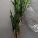 Nearly Natural 4ft. Corn Stalk Dracaena Silk Plant (Real Touch)