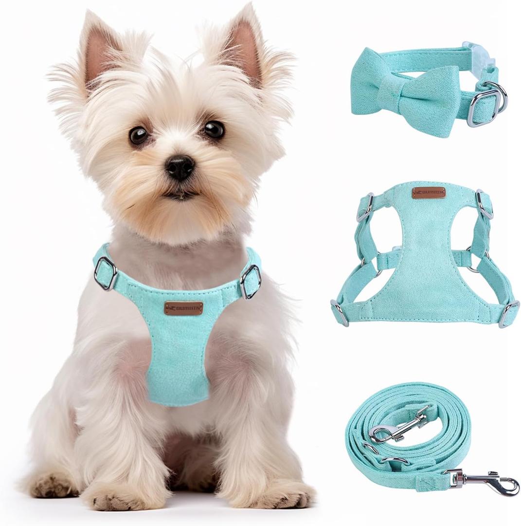 Dog Harness and Leash Set, XXS No Pull Adjustable Puppy Harness with Multifunction Pink Dog Leash and Dog Collar, Soft No Choke Escape Proof Pet Harness Vest for Small Dogs and Cats (Mint Green, XS) (XS(4.5-11lb))