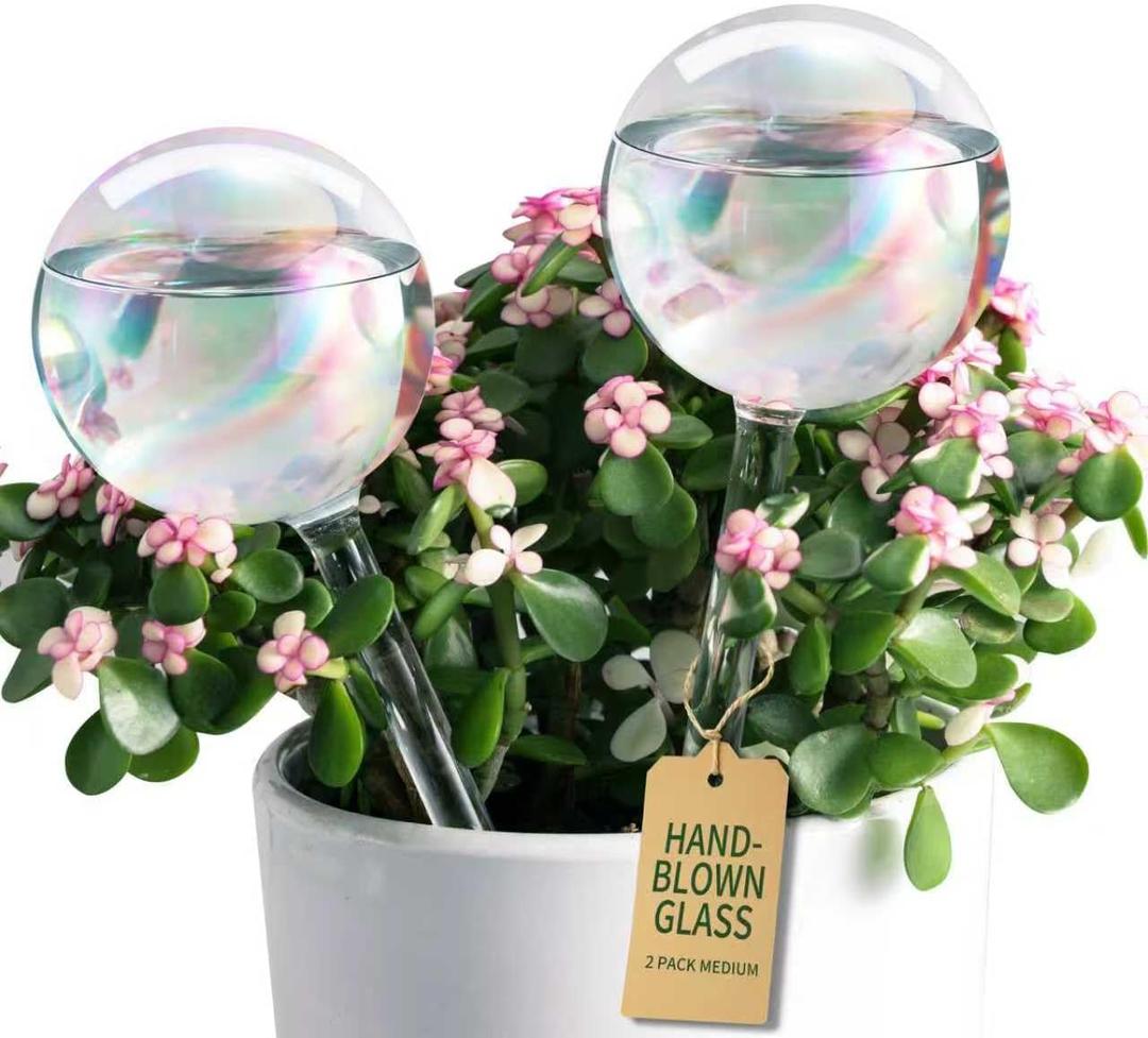 Soilagua Extra-Thick Clear Glass Plant Watering Globes, Rainbow Gradient Self Watering Globes, Automatic Plant Waterer, Self Watering Planter Insert Spikes Devices for Everyday or Vacation Use, 2-Pack