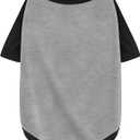 Stylish Grey Block Dog Shirt: Premium Polycotton Blend, Comfortable, Breathable, and Wrinkle-Resistant. Perfect Apparel, a Must-Have for Pet Lovers, XXL