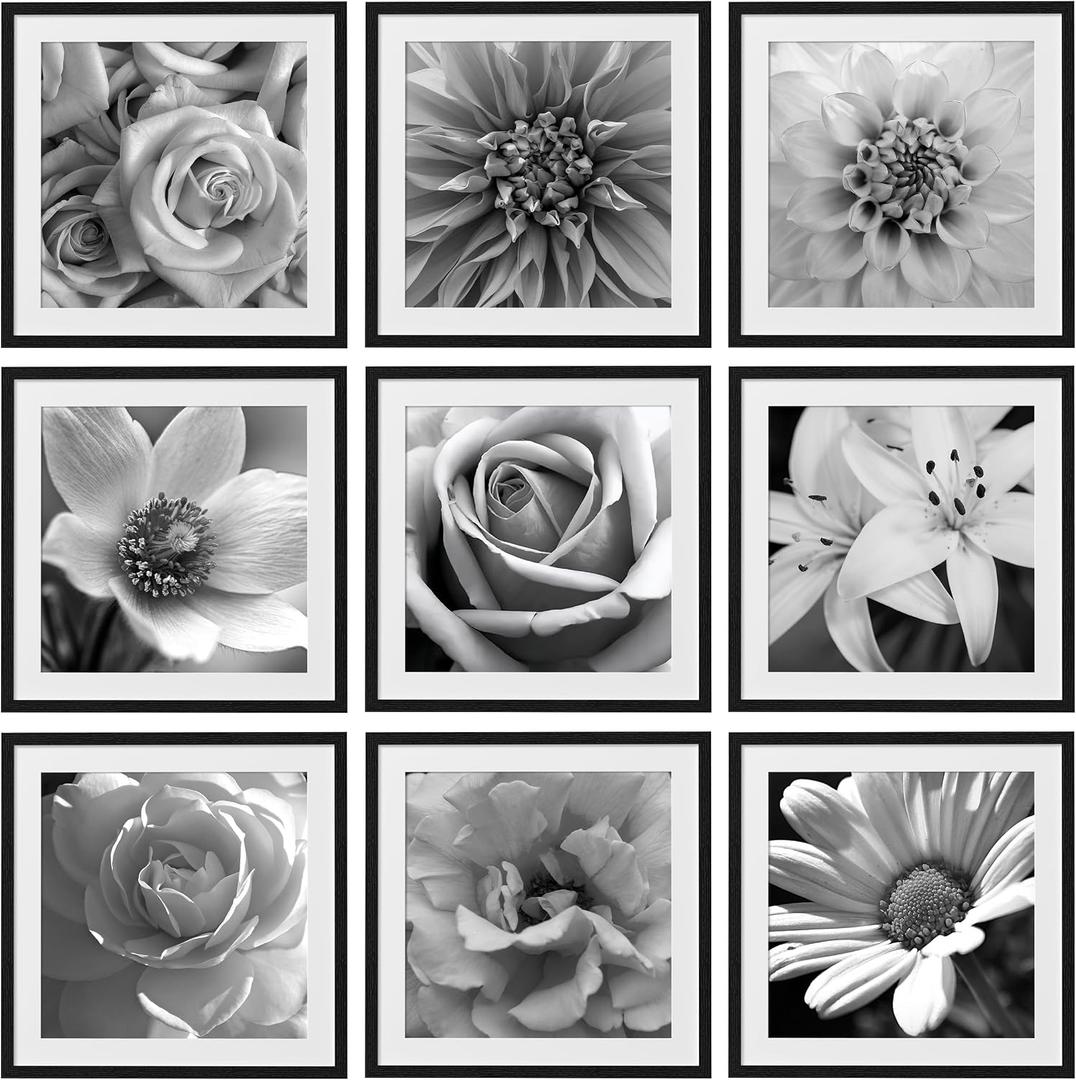 Eletecpro 24x24 Picture Frames Set of 9, Classic Gallery Wall Frame Set for 20x20 Photos with Mat or 24x24 without Mat, Storyline Picture Frame for Art Prints, Black Poster Frames for Home Decor Wall