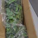 Bellacat Faux Black Olive Tree 7ft, Tall Faux Trees Indoor with Natural Trunk and Realistic Leaves. 7 Feet(84in) Artificial Tree for Home Office Dcor.