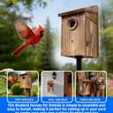 Natural Wood Birdhouse for Outside, Wooden Nesting Box with Circular Entrance Hole and Perch Blue Bird Houses for Outdoors with Clear View Panel & Predator Guard for Blue Robin, Wren, Swallow