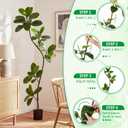 6 FT Artificial Plants Rubber Tree, Tall Fake Plant Indoor with Black Pot Large Faux Standing Fiddle Leaf Fig Floor Tree for Home Office Living Room Floor Patio Housewarming Decor