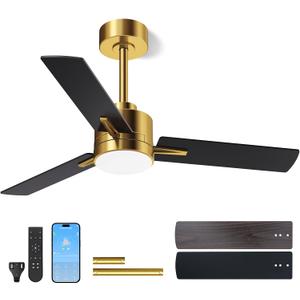 LANMEL 42'' Black and Gold Ceiling Fans with Lights and Remote, 6 Speed Low Profile Modern Ceiling Fan with Quiet DC Motor for Indoor Outdoor Bedroom Living Room