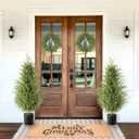 Christmas Decorations - Outdoor Christmas Tree - 2 Pack 3FT Artificial Norfolk Pine Tree - Xmas Decor for Home Indoor Outdoor Entryway Party Living Room Office Porch