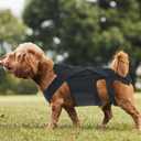 Dog Back Brace, Pet Back Support Vest Back Bracer for Dachshunds, Corgis et al Other Dogs IVDD Arthritis, Herniated Disc, Spinal Recovery (M)