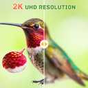 Smart Glass Hummingbird Feeder with Camera, Solar Powered 2K HD Hummingbird Feeders for Outdoors Hanging, AI Identifies & Auto Recording, Leak-Proof Ant & Bee Proof, Ideal Gift for Bird Lovers