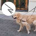 Two Point Control Dog Leash Soft Padded and Reflective Nylon Walking Lead No Tangle Training Leashes Converts to Single Lead Works with No Pull Harnesses for Medium Large Dogs (Black)
