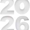 2026 Number Shaped Cardboard Charcuterie Decorative Trays Fillable, Party Food Display Platter for New Year Eve, Graduation (Small)
