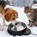 Heated Water Bowl for Dogs & Cats, 100W Heated Pet Bowl Outdoor with 3 Temperature Settings, 12H Timer, BPA-Free&50OZ Removable Stainless Steel Bowl, Anti-Chew Cord for Chickens, Ducks, Birds, Animal