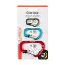 Nite Ize Slidelock Aluminum Locking Carabiner - Keychain Carabiner with Locking Gate - Carabiner Clip for Keys, Camping Accessories, & More - Assorted Sizes, Assorted Colors (2 Pack)