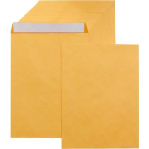 Amazon Basics Catalog Self Seal Mailing Envelopes for Documents, Peel and Seal, 9" x 12", Brown Kraft, 250-Pack