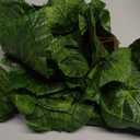 Meiliy 8 Ft 5pcs Artificial Greenery Ivy Vine Plants Foliage Grape Leaves Vine Simulation Flowers Vine Garland for Home Room Garden Wedding Outside Decoration (5pack)