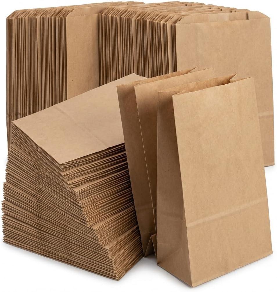4LB Kraft Brown Paper Lunch Bags 100 Count, Lunch Sack 9.75 x 5 x 3 Inches, Disposable Paper Bags Lunch Size for Sandwich, Snacks & Food Service