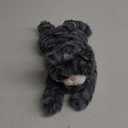 Gray Tabby Cat Stuffed Animals, Microwavable Stuffed Animal Adorable Fluffy Cat Plush for Warmth & Comfort, Heatable & Coolable Lavender Scent Cat Toys, Cute Soft Plushies Cat Gifts for Kids & Adults