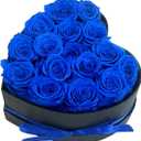Preserved Roses Heart Shape Box Valentines Day Gifts for Her Mothers Day Forever Flowers (Blue, 16 Roses)