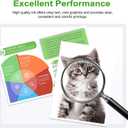 902XL Ink Cartridge Combo Pack Replacement for HP 902 XL HP902 HP902XL work with 6978 6968 Printer OfficeJet 6960 6970 6975 6979 6958 6950 6951 6954 6956 6961 6962 6963 6966 Black and CMY 4-Pack